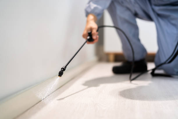 Certified termite inspector examining foundation in Citrus City
